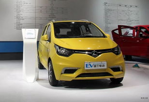 從低速電動(dòng)車(chē)到新能源汽車(chē),雷丁汽車(chē)是不是想的太簡(jiǎn)單了